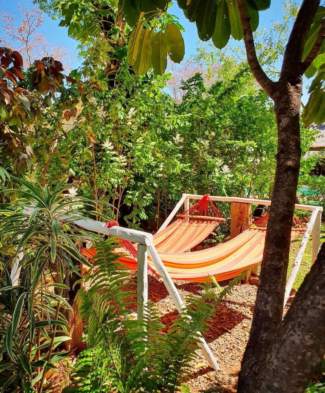 Victoria Falls Backpackers Lodge- Camp Sites Luaran gambar